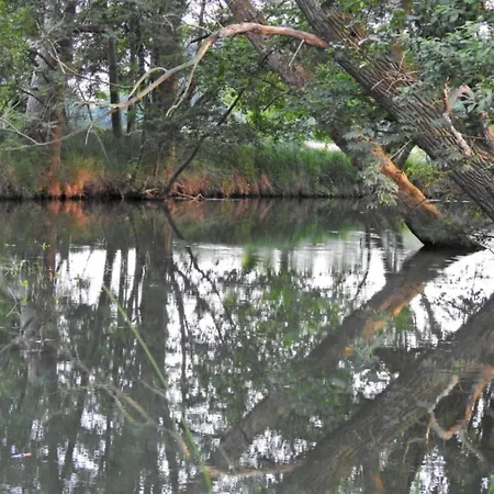 Dom wakacyjny Waldblick Forest Retreat *