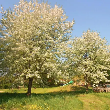 Waldblick Forest Retreat Σπίτι διακοπών Schmogrow