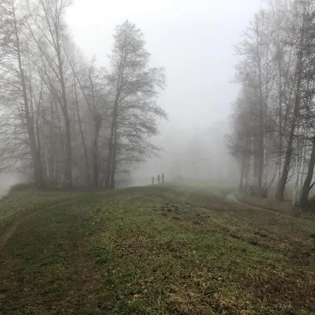 Waldblick Forest Retreat * Schmogrow