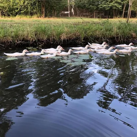 Waldblick Forest Retreat Dom wakacyjny *
