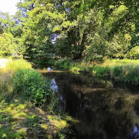 Waldblick Forest Retreat