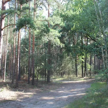 Dom wakacyjny Waldblick Forest Retreat