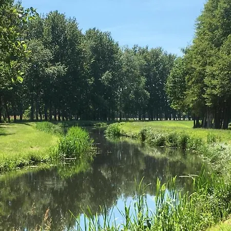 Waldblick Forest Retreat