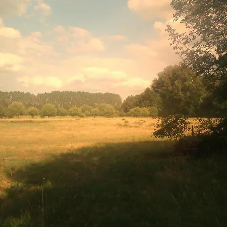 Dom wakacyjny Waldblick Forest Retreat