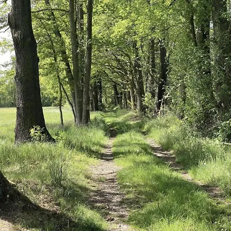 Waldblick Forest Retreat Dom wakacyjny *