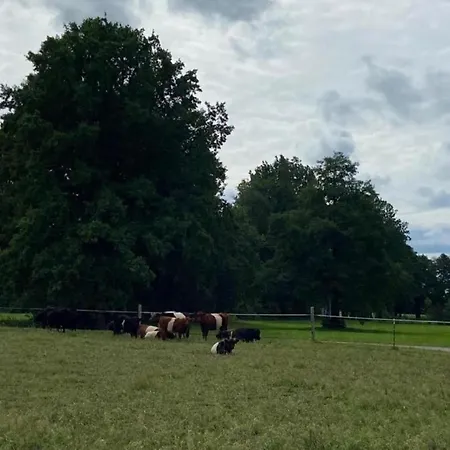 Waldblick Forest Retreat * Schmogrow