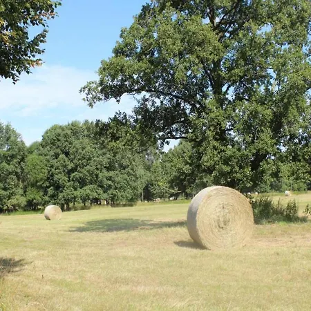 Waldblick Forest Retreat Dom wakacyjny