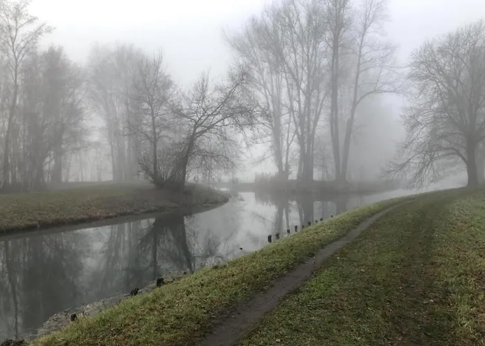 Сasa de vacaciones Waldblick Forest Retreat