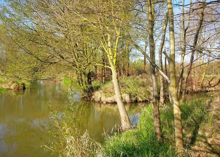 Tatil Evi Waldblick Forest Retreat