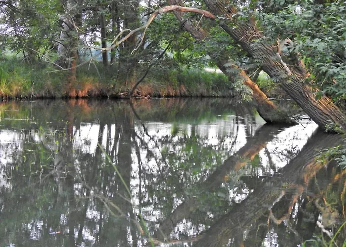 Сasa de vacaciones Waldblick Forest Retreat *