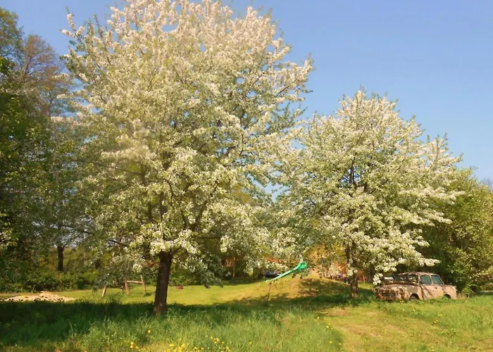 Waldblick Forest Retreat Сasa de vacaciones Schmogrow