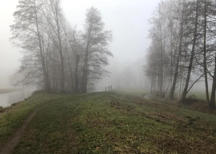 Waldblick Forest Retreat * Schmogrow