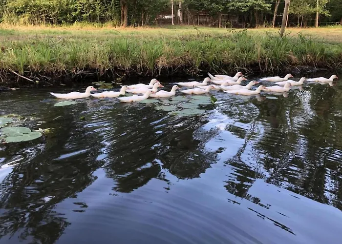 Waldblick Forest Retreat Tatil Evi *