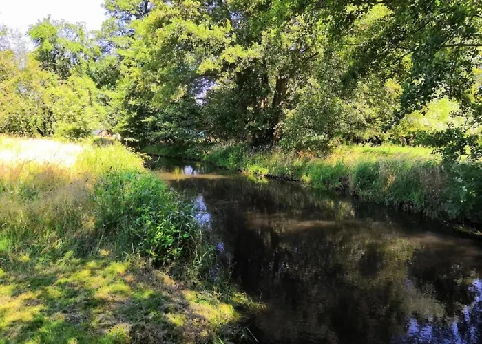 Waldblick Forest Retreat