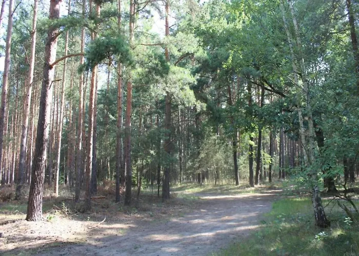 Сasa de vacaciones Waldblick Forest Retreat