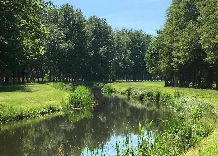 Waldblick Forest Retreat