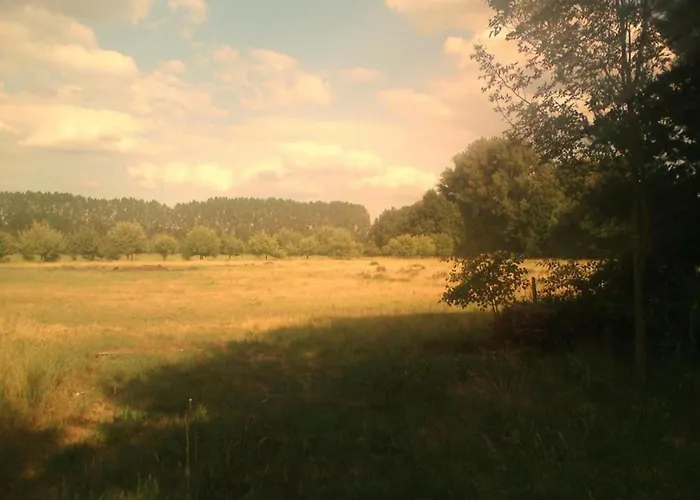 Сasa de vacaciones Waldblick Forest Retreat