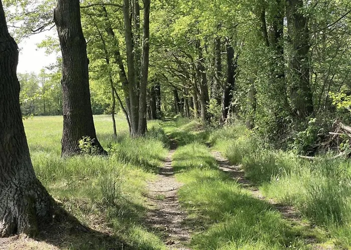 Waldblick Forest Retreat Tatil Evi *