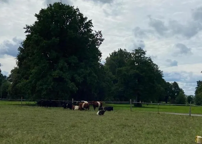 Waldblick Forest Retreat * Schmogrow