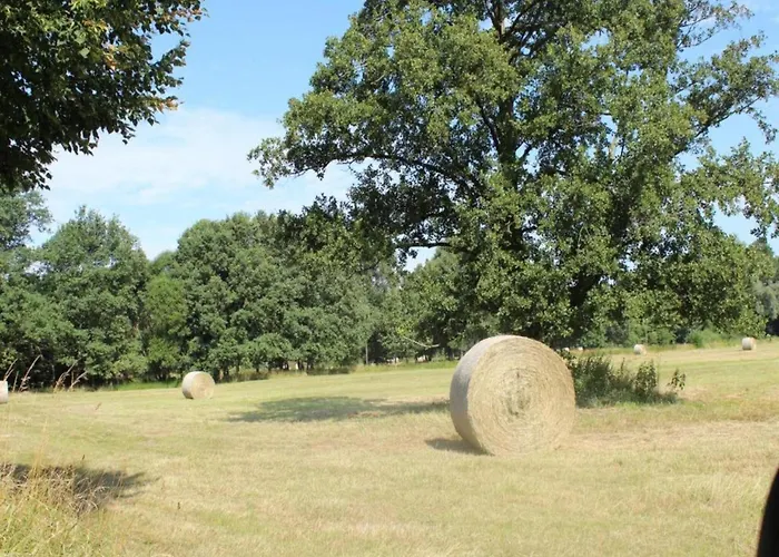 Waldblick Forest Retreat Сasa de vacaciones